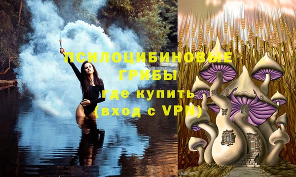 ПСИЛОЦИБИНОВЫЕ ГРИБЫ Баксан