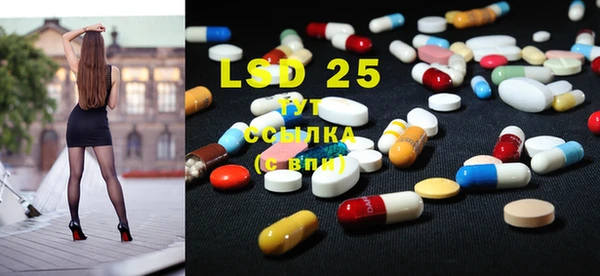 ПСИЛОЦИБИНОВЫЕ ГРИБЫ Баксан