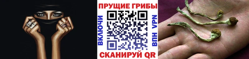где купить наркотик  блэк спрут ссылка  Галлюциногенные грибы Magic Shrooms  Инза 